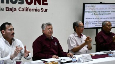 Realizan sesión del subcomité