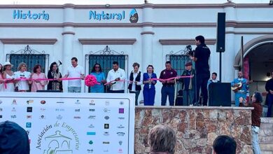Vuelven los domingos de Viva la Plaza