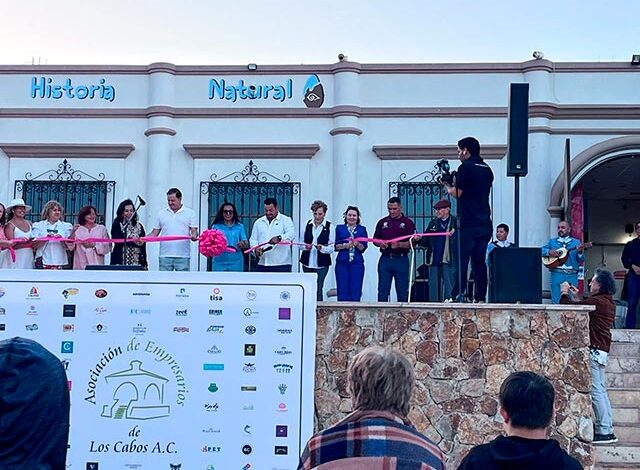 Vuelven los domingos de Viva la Plaza