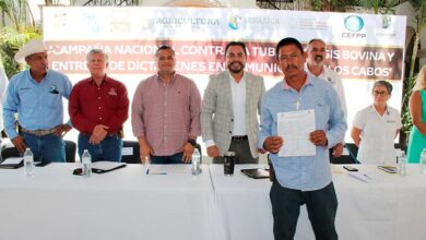 Ganaderos de Los Cabos avanzan