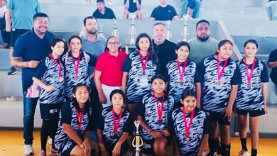 Finaliza la etapa estatal de handball