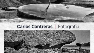 Expondrán “Sombras Contrarias” del artista